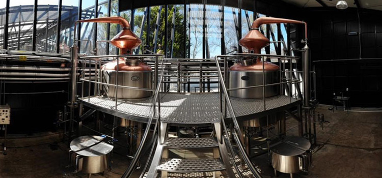 Destilando México: conoce el único whisky que se hace en nuestro país