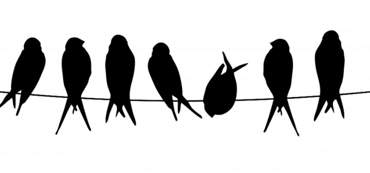 Pájaros en el alambre: Los terribles ciclones del miedo
