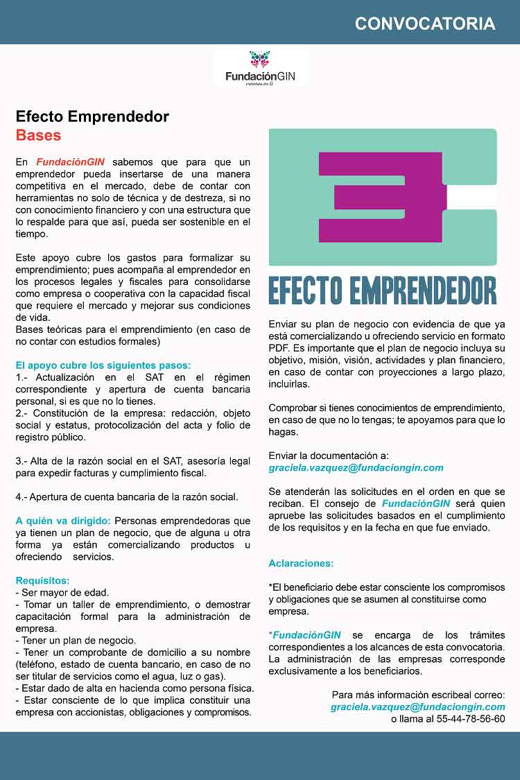 FundaciónGIN lanza la convocatoria “Efecto Emprendedor” 0