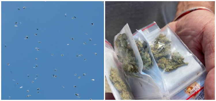 ¡Como caído del cielo! “Llovió” marihuana en esta ciudad de Israel