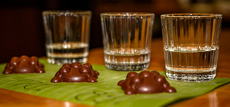 Cata de chocolate y mezcal: privilegio de los dioses