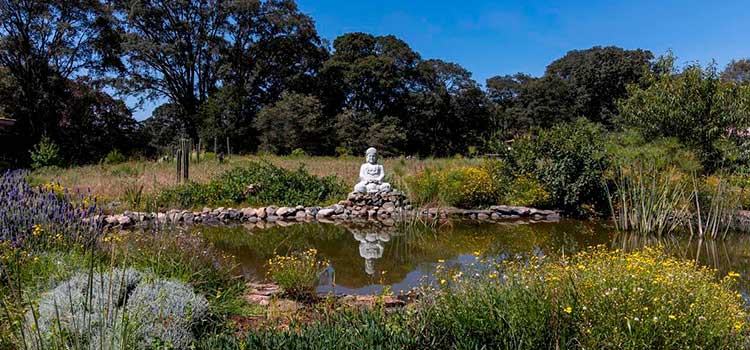 Grandísimo hijo de Buda