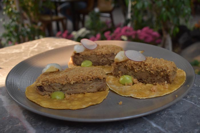 Bosque Gourmet: Los mejores platillos en un mismo lugar 0
