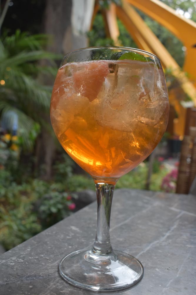 Bosque Gourmet: Los mejores platillos en un mismo lugar 1