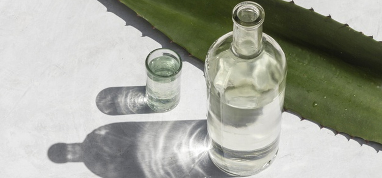 Celebra el Día del Padre junto a este mezcal