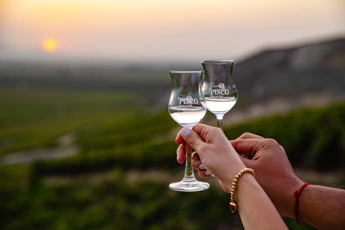 10 datos curiosos del Pisco 0