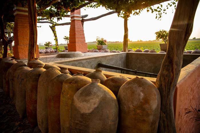 10 datos curiosos del Pisco 1