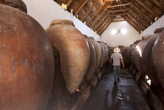 10 datos curiosos del Pisco 2
