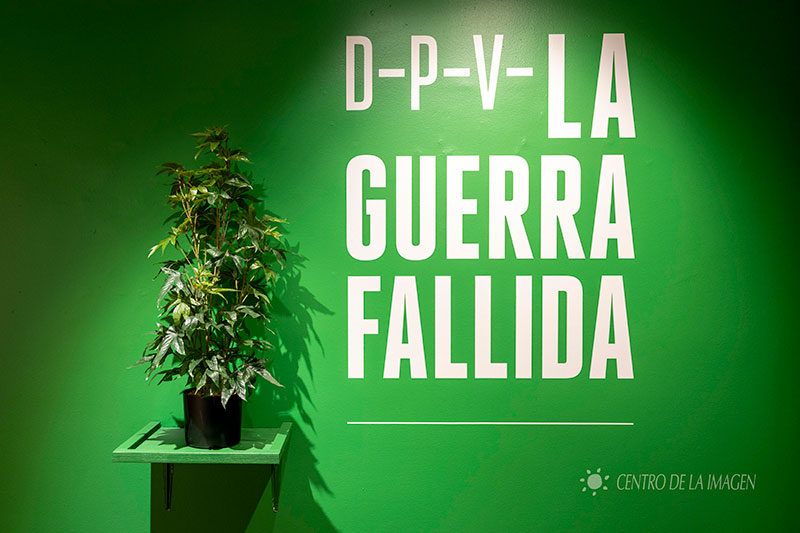 DPV. La guerra fallida: drogas y sus consecuencias 0