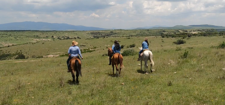 Rutas de Viajero: Donde todo comenzó, en Cañada de la Virgen 1