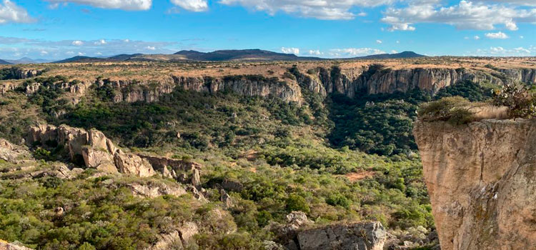 Rutas de Viajero: Donde todo comenzó, en Cañada de la Virgen