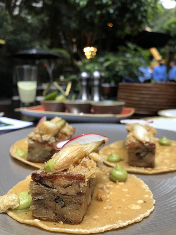 Bosque Gourmet: De vuelta el deleite culinario 0