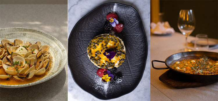 Degusta lo mejor de la comida contemporánea en CATORZE