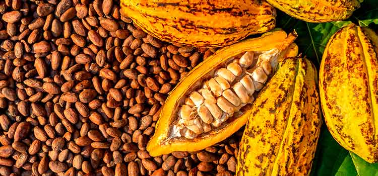“Ciencia con sabor a chocolate” en Encuentro Oceanía