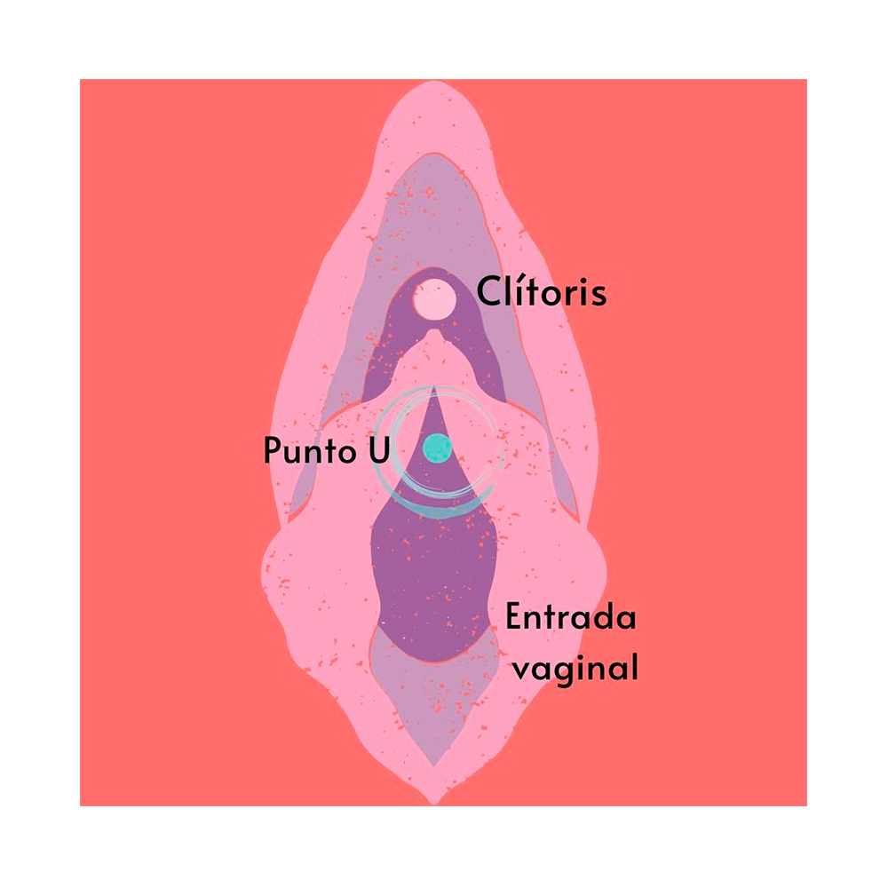 Descubre todos los secretos del Punto U para hacerla llegar al orgasmo