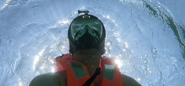 Emoción y aventura con la GoPro HERO11 Black en la Riviera Maya