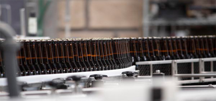 Día Internacional de la Cerveza: ¿Qué estilo va contigo?
