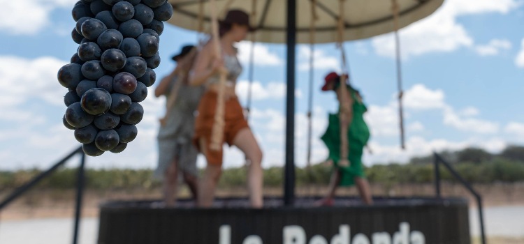 En Viñedos La Redonda puedes pisar las uvas