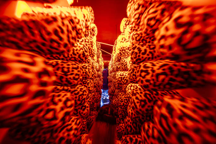 Cheesy-Verse: Una experiencia inmersiva gratuita en la CDMX 1