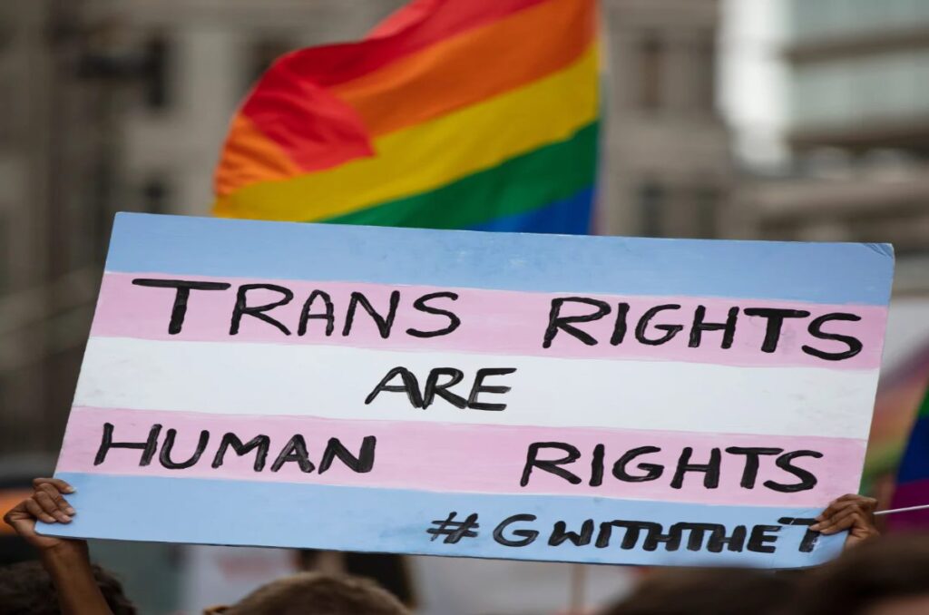 Transcendiendo barreras: Una mirada a la comunidad Trans