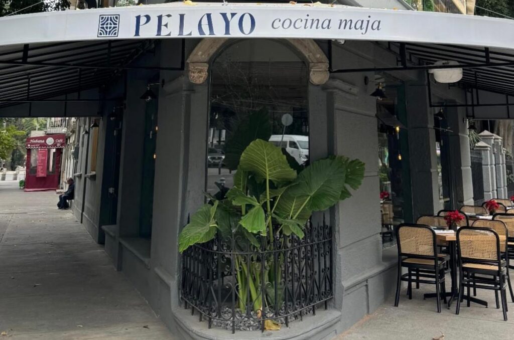Disfruta de una cena maridaje en Pelayo