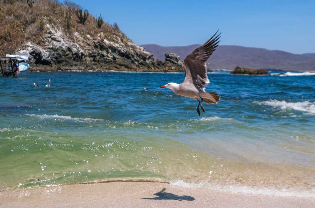 Rutas de viajero: Escápate a Costalegre, Jalisco