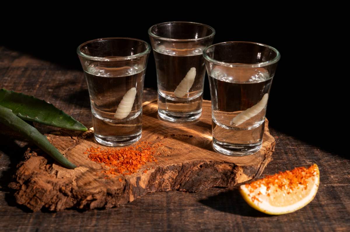 Tequila y mezcal: los destilados icónicos para celebrar septiembre