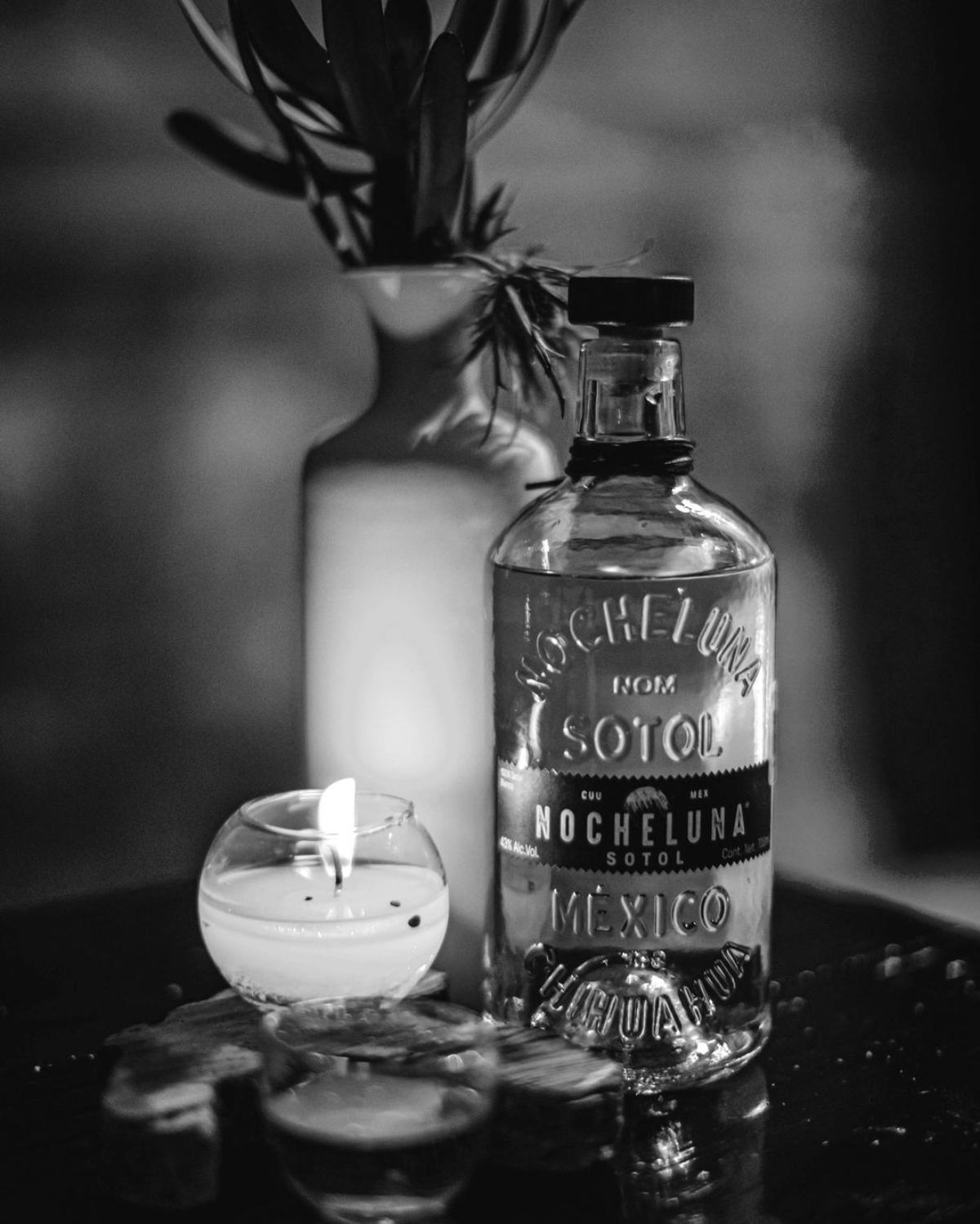 Nocheluna: el sotol con el que colabora Lenny Kravitz 0