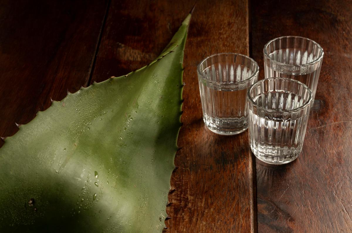 El mezcal oaxaqueño brilla en su día nacional