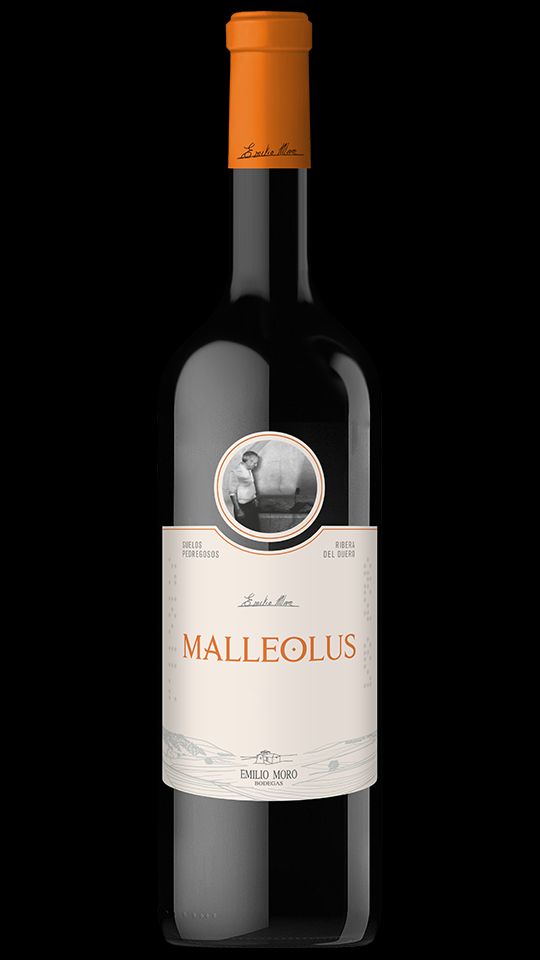 Celebra la Magia de las Fiestas Decembrinas con Bodegas Emilio Moro 1
