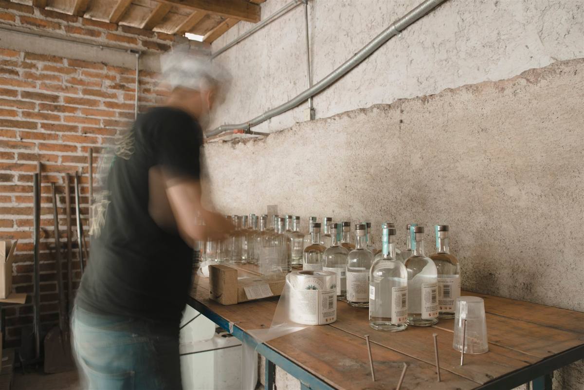 Gin mexicano: las marcas que debes conocer si eres fan de James Bond 1