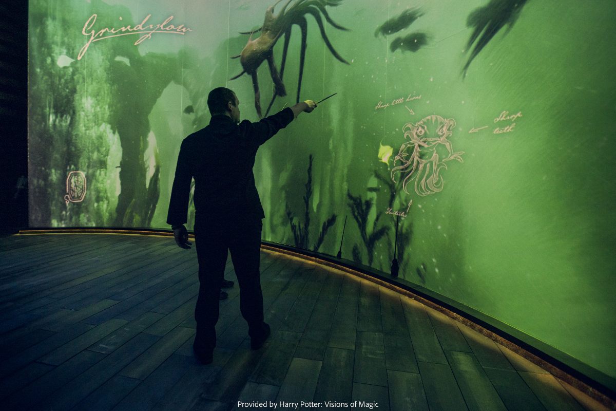Así se vive Visions of Magic de Harry Potter 3