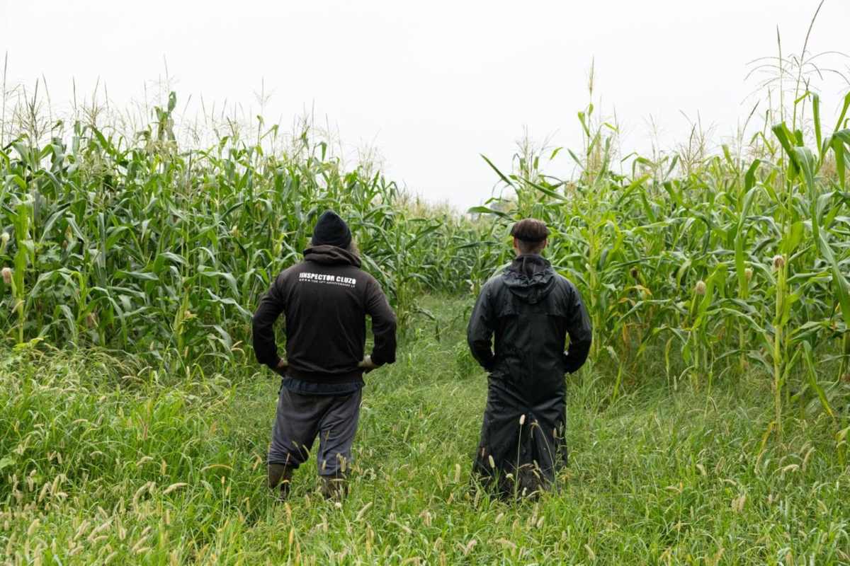 The inspector cluzo: El “jódanse” del rock orgánico frente a la industrialización y el clima 0