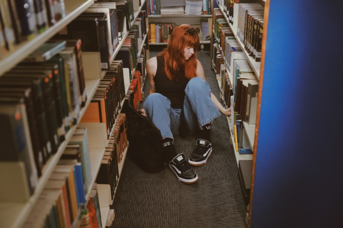 Vans relanza su icónica silueta Hylane 2