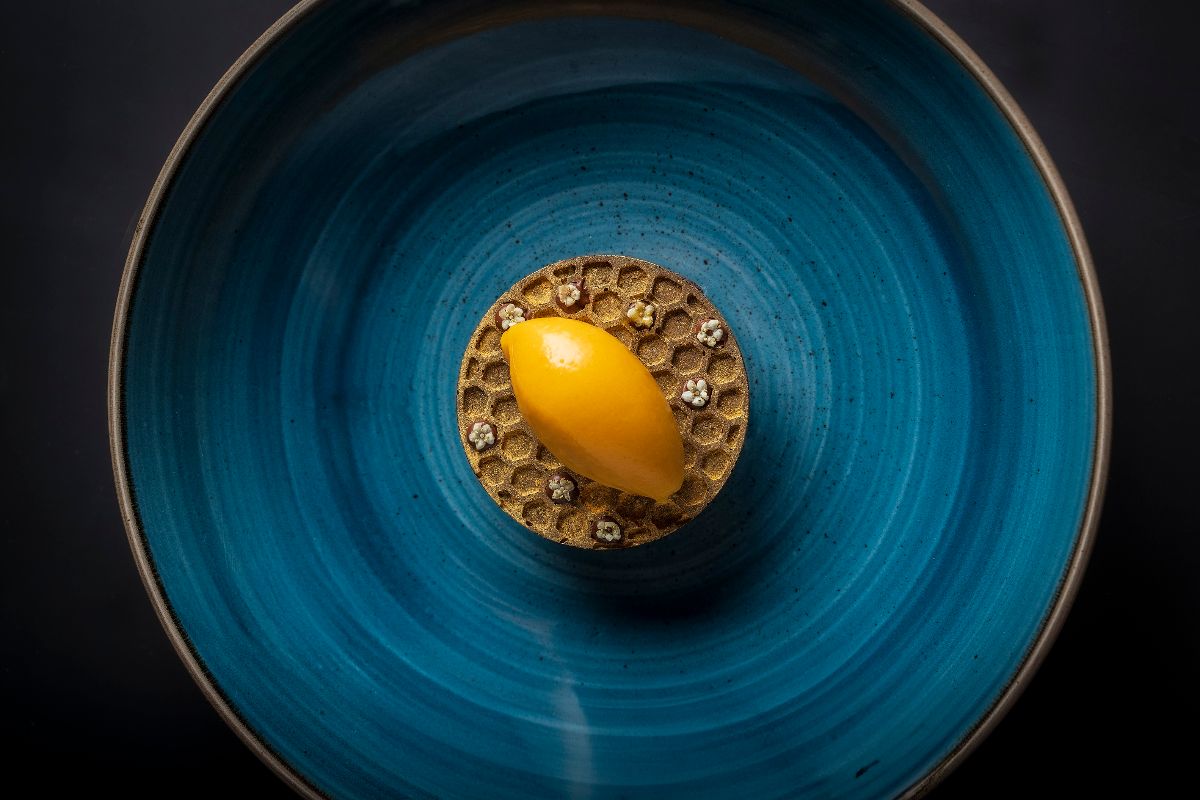 Balcón Del Zócalo, diez años después 1