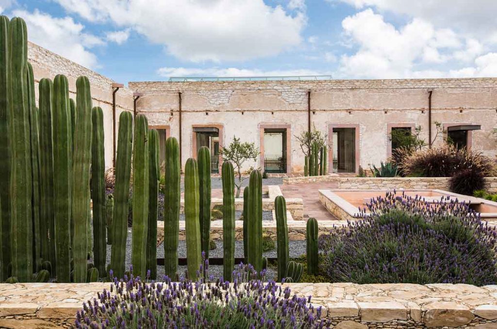 Los vestigios de la antigua ciudad Porfirio Díaz