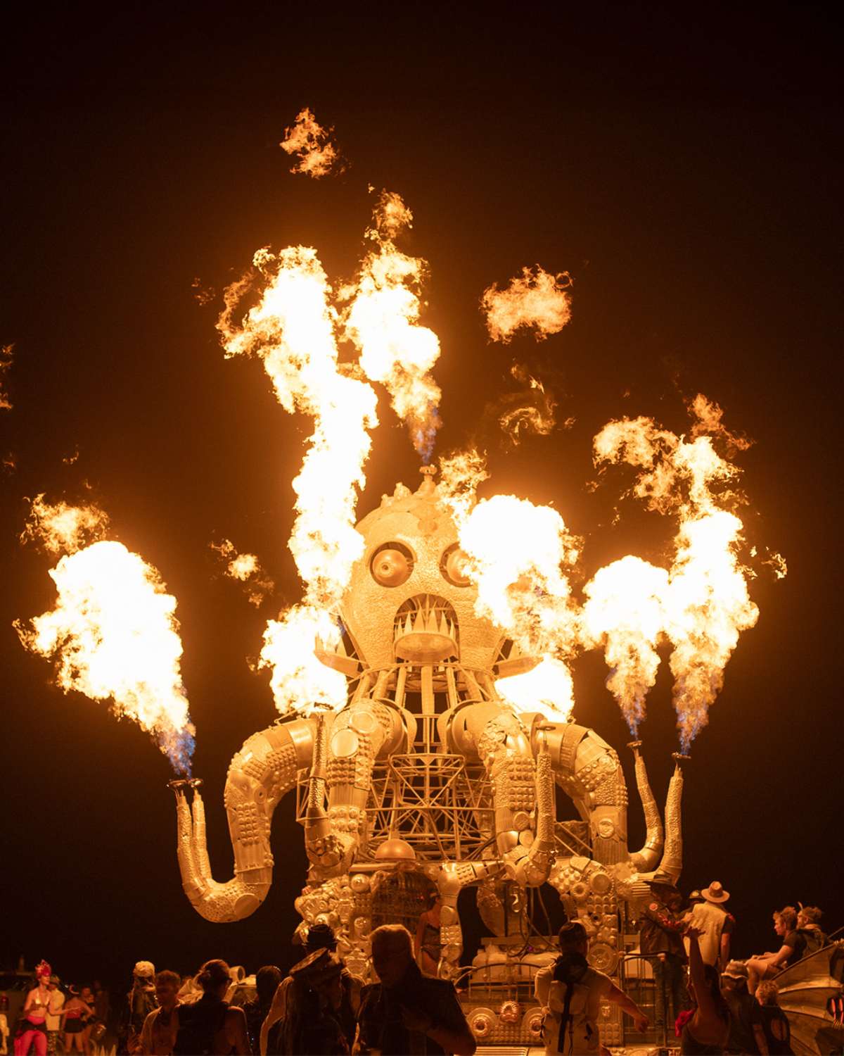 Burning Man: En camino a ser una long time burner 7