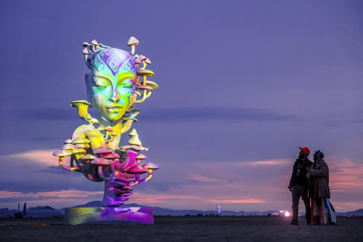 Burning Man: En camino a ser una long time burner 3