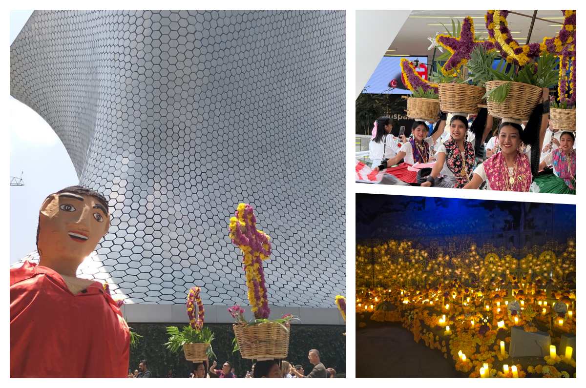 Odisea México: Colores, sabores y sonidos de México en un solo lugar