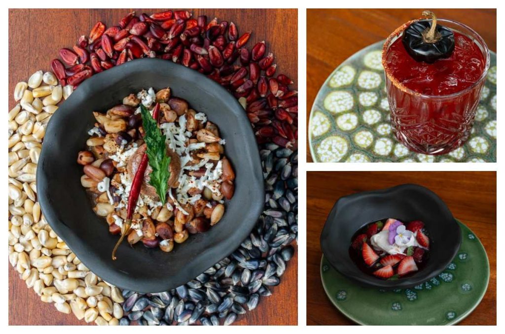 Viernes de Culto en Marea: Un tributo al maíz y la gastronomía mexicana