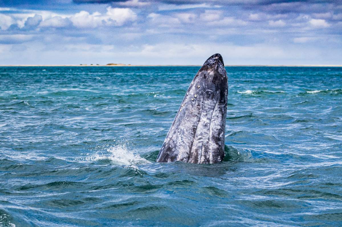 La Paz: el destino que abraza tu lado fit pero consiente tu lado foodie