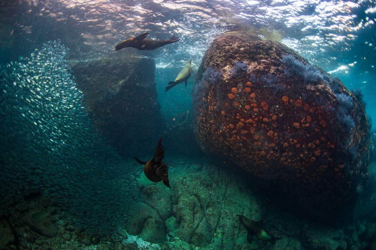 La Paz: el destino que abraza tu lado fit pero consiente tu lado foodie 1