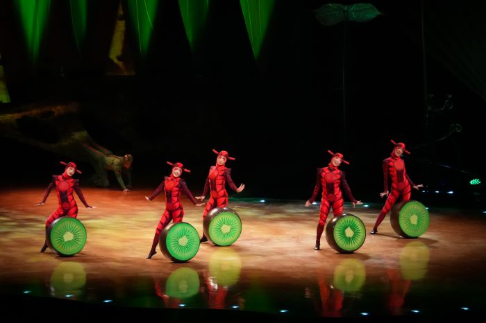 OVO: el show del Cirque du Soleil que pone a vibrar a la CDMX 0