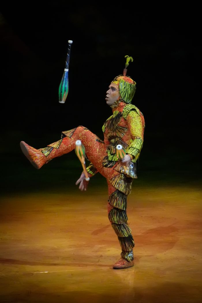 OVO: el show del Cirque du Soleil que pone a vibrar a la CDMX 3