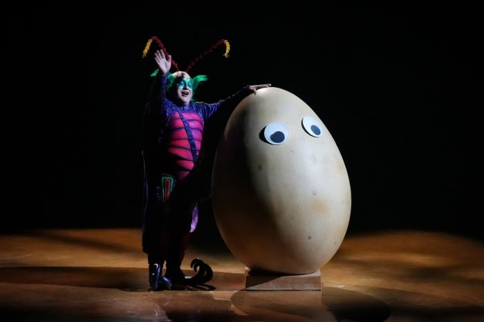 OVO: el show del Cirque du Soleil que pone a vibrar a la CDMX 1