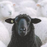 Foto perfil de VENUS