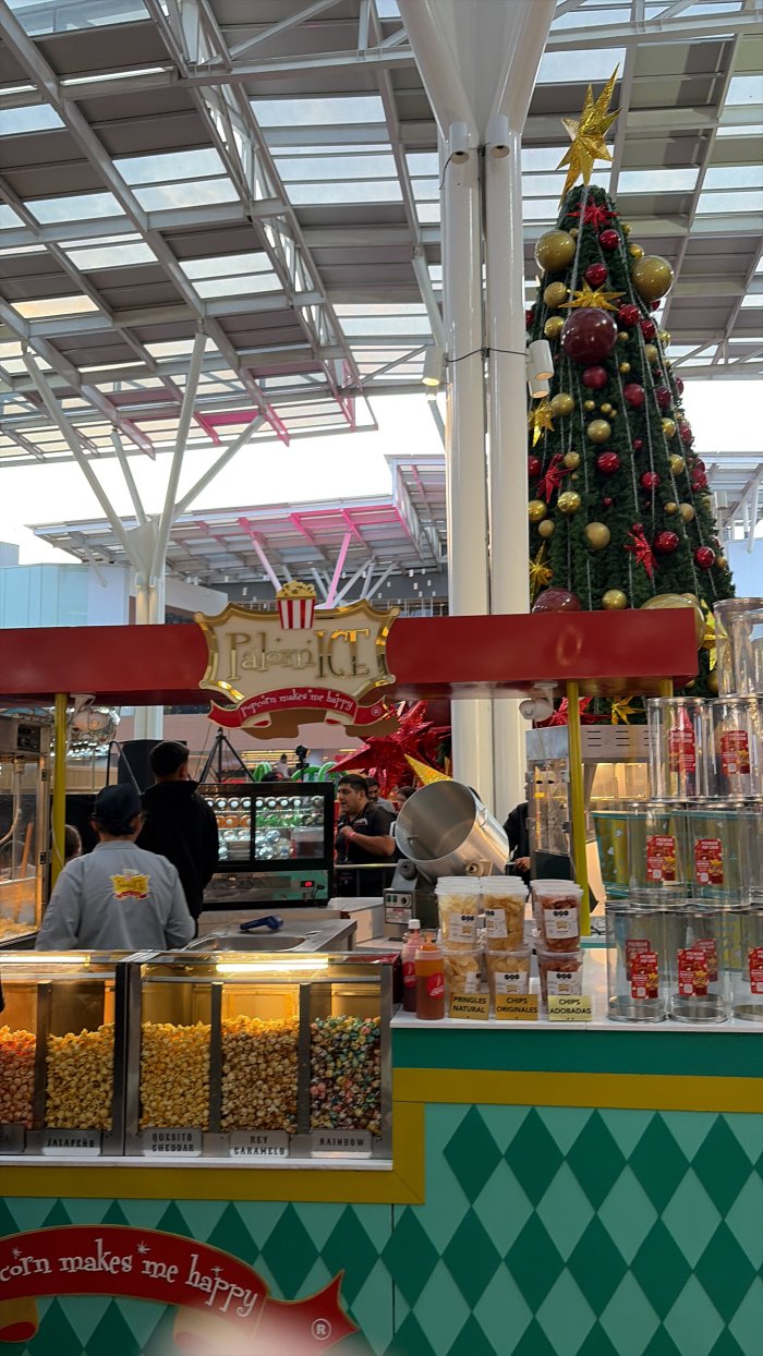 Así se vivió la magia del encendido del árbol en Encuentro Oceanía 0
