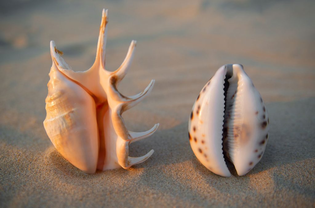 Vaginoplastia: una cirugía con múltiples aplicaciones en la salud íntima