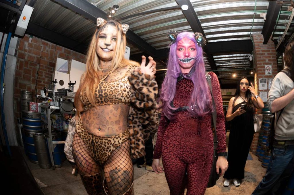 Las galerías más perronas que hasta los Therians amarían