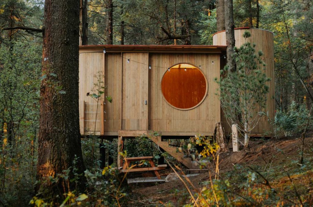 Wander Cabins en Villa Alpina: Un refugio entre pinos infinitos